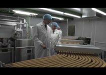 Cuántas galletas fabrica Gullón: una mirada a la capacidad de producción