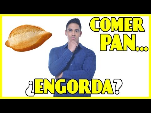 Pan vs Galletas: ¿Qué engorda más? ¡Descubre la verdad!
