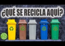 Dónde reciclar papel de magdalenas: Guía de reciclaje