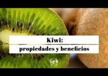 Cuántas calorías tiene un smoothie de Kiwi: Descubre su valor nutricional