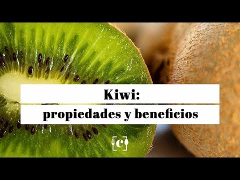 Cuántas calorías tiene un smoothie de Kiwi: Descubre su valor nutricional